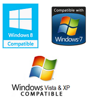 Microsoft Partner (ISV) Logo